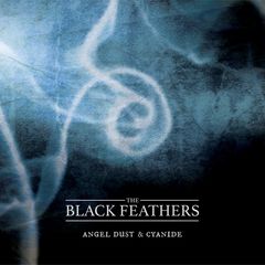 Artwork for The Black Feathers